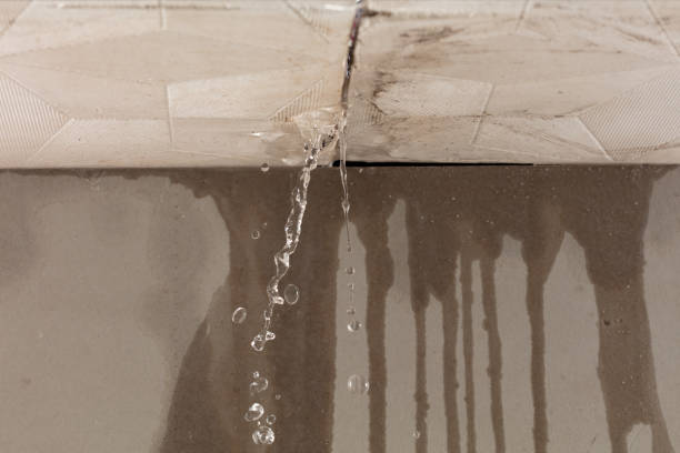 Professional Water Damage Repair technician working in Ledbetter, TX